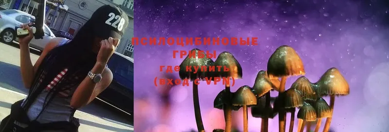 Псилоцибиновые грибы Magic Shrooms  Орск 